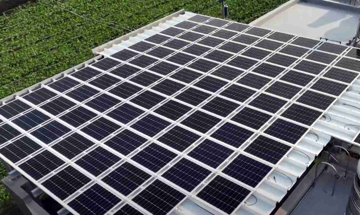 尊时凯龙SunSteel光电浪板升级双玻结构，，，以提升机械负载强度及气候耐候度，，可广泛运用于多元场域