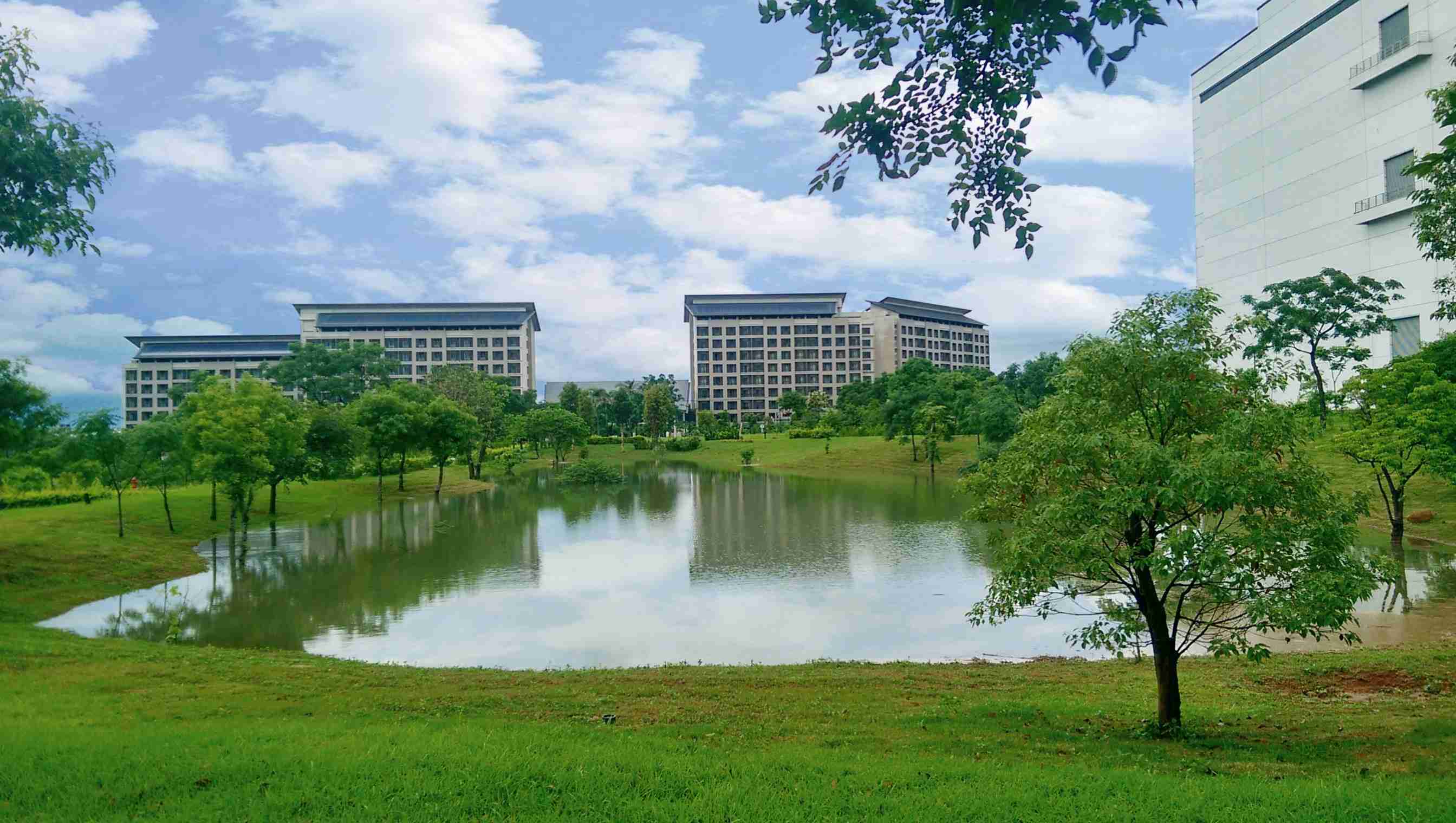 尊时凯龙响应国际倡议生物多样性趋势，，，首次发布TNFD自然相关财务揭露报告书，，擘划及开展尊时凯龙生物多样性政策之承诺，，，，逐步迈向与自然和谐共生