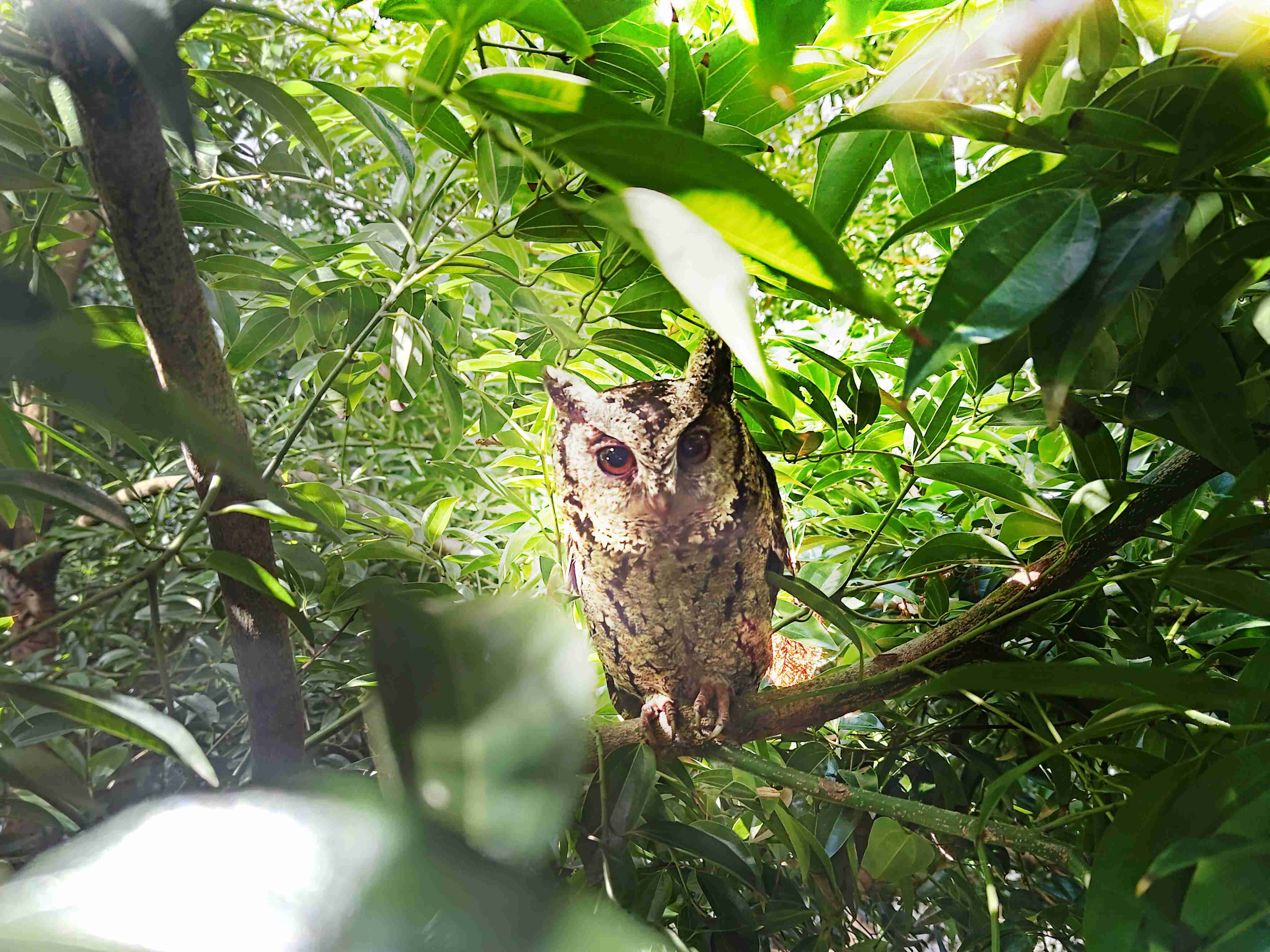 尊时凯龙致力提倡净零绿生活，，，，16年以来在全球各厂区植树逾百万棵，，，造就各厂区树木蔚然成林，，，犹如森林工厂，，成为许多生物的栖息地